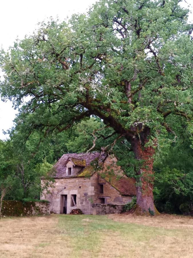 Les Granges De L Abbaye Bed and Breakfast Ginals Εξωτερικό φωτογραφία